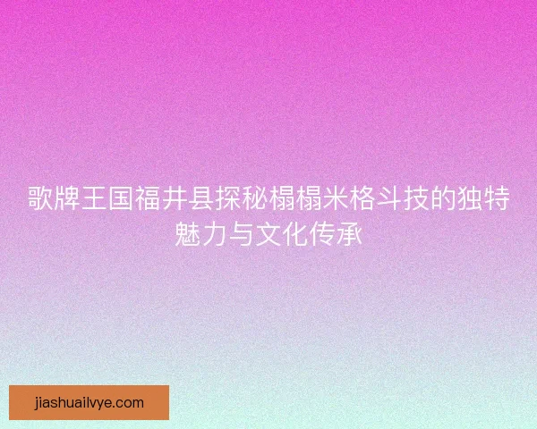 歌牌王国福井县探秘榻榻米格斗技的独特魅力与文化传承